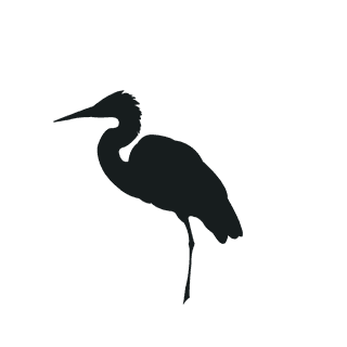 varioustype-bird-silhouette-clipart-896546