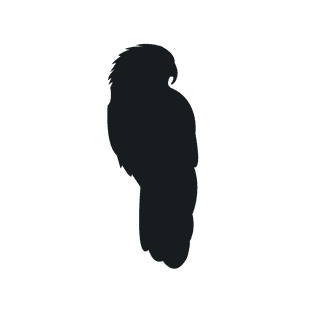 varioustype-bird-silhouette-clipart-900899