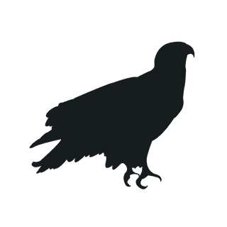 varioustype-bird-silhouette-clipart-905403