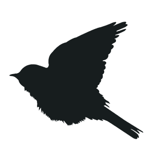 varioustype-bird-silhouette-clipart-912072