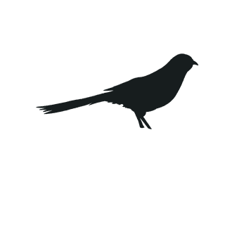 varioustype-bird-silhouette-clipart-926837