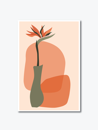 vectora-of-compositions-with-african-tropical-exotic-plants-and-abstract-vases-strelitzia-flowers-114939