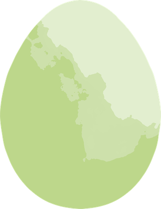 vectoreaster-eggs-vector-illustration-48793