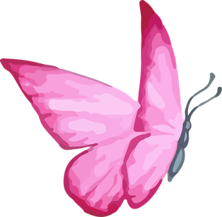 vectorhand-drawn-butterfly-20716