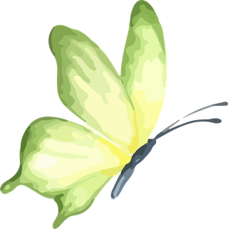 vectorhand-drawn-butterfly-532747