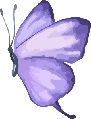 vectorhand-drawn-butterfly-395263