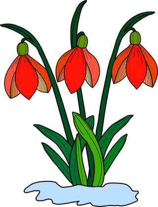 vectorillustration-of-a-red-flower-bush-339750