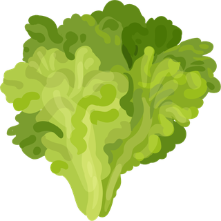 vegetablesherbs-illustration-elements-523812