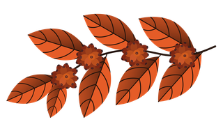 vibrantfall-foliage-autumn-leaves-illustration-919576