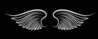 wingswings-black-elements-angels-birds-wings-illustration-white-wings-52052