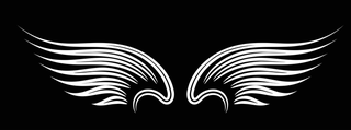 wingswings-black-elements-angels-birds-wings-illustration-white-wings-910023