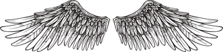 wingswings-sketch-set-887385