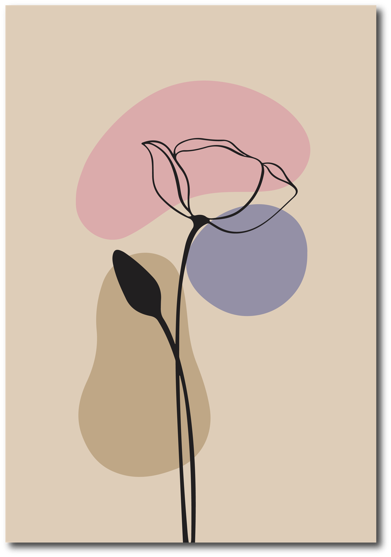 poppy flower line art minimalist contour drawing one line artwork vintage