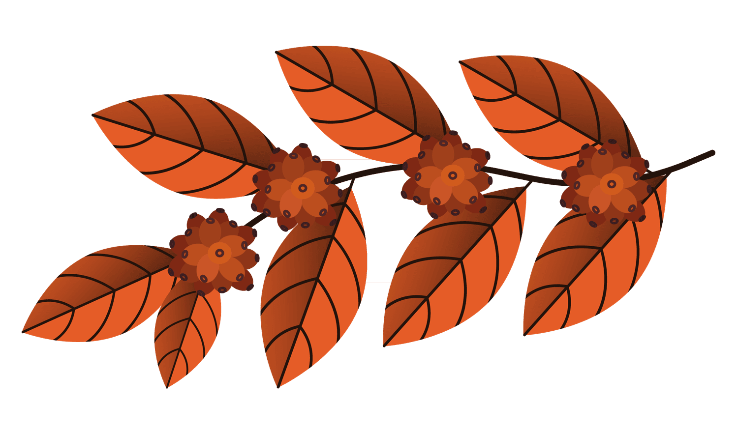 vibrant fall foliage autumn leaves illustration