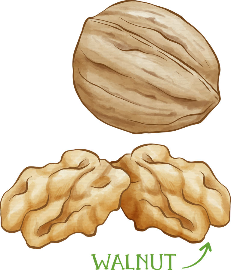 walnut hand drawn pistachio baklava recipe