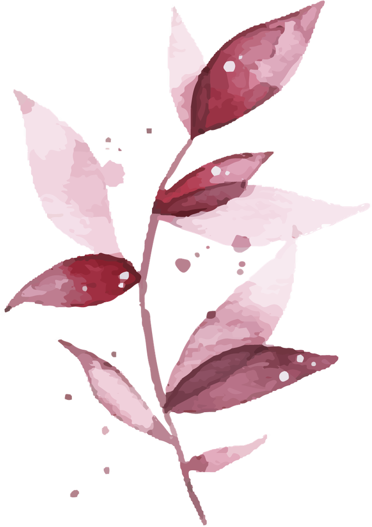 watercolor tropical burgundy maroon leaves isolated